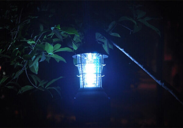 Camping Light | Outdoor Lighting Gear | [Store Name] - Image 5